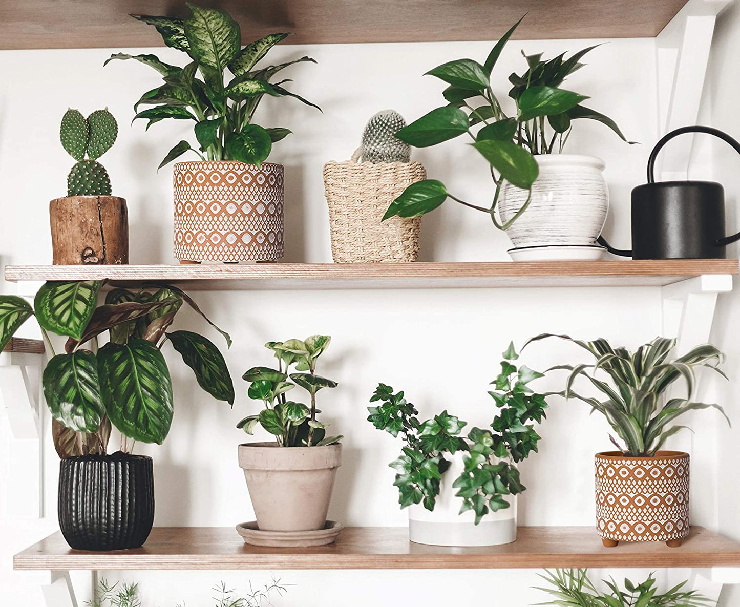 Set of 2 Terracotta Planter Pots, 4 Inch & 6 Inch, Design Plants Pot with Drainage Hole, Desert Mirage, Terracotta/White, 31-953-B-1